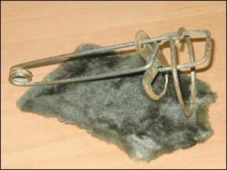 post-30627-0-48261700-1399645454_thumb.j