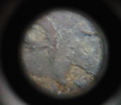 post-30904-0-31373300-1400877442_thumb.j