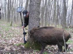 post-31039-0-15624800-1399236409_thumb.j