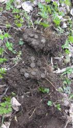 post-31186-0-65197800-1399226725_thumb.j