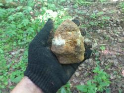 post-31301-0-35583700-1400943032_thumb.j