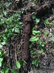 post-31301-0-55943000-1399452861_thumb.j