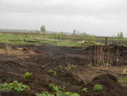 post-3295-0-12379100-1400082739_thumb.jp