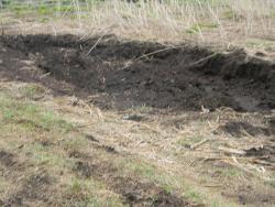 post-3295-0-28627200-1400081674_thumb.jp