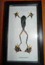 post-4485-0-39318000-1401026417_thumb.jp