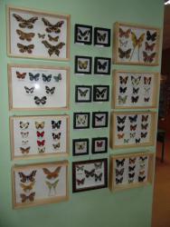 post-4485-0-61186600-1401025863_thumb.jp