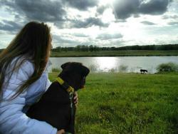 post-4485-0-65596200-1401293233_thumb.jp