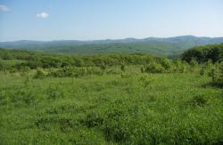 post-4489-0-22160100-1400865645_thumb.jp