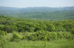 post-4489-0-37472700-1400865563_thumb.jp