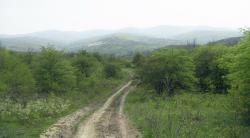 post-4489-0-59630900-1400236867_thumb.jp