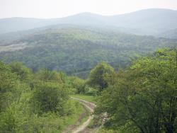 post-4489-0-63613700-1400236976_thumb.jp