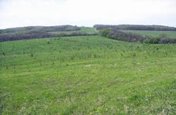 post-4489-0-69754000-1400237012_thumb.jp