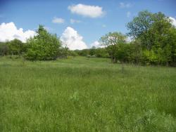 post-4489-0-91079600-1400865602_thumb.jp