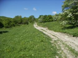 post-4489-0-91962800-1400862272_thumb.jp