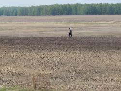 post-4989-0-04835100-1400076283_thumb.jp