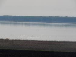 post-4989-0-07051100-1400076409_thumb.jp