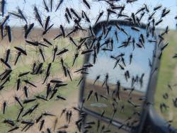 post-4989-0-13500800-1400076570_thumb.jp