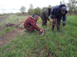 post-4989-0-24884000-1401004596_thumb.jp