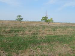 post-4989-0-40757200-1400076207_thumb.jp