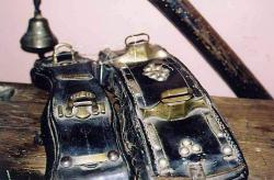 post-4989-0-56739300-1399807471_thumb.jp