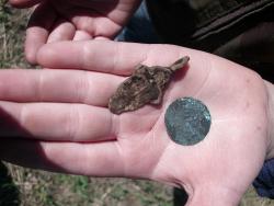 post-5773-0-60231700-1400516932_thumb.jp