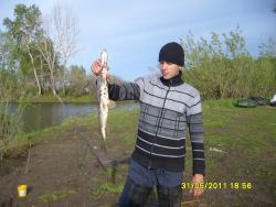 post-6107-0-03714000-1401469419_thumb.jp