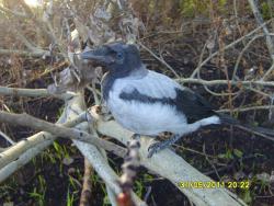 post-6107-0-95880800-1401469543_thumb.jp