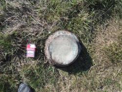 post-7121-0-47215900-1399989897_thumb.jp