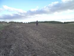 post-7121-0-58398600-1400983363_thumb.jp