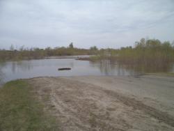 post-7121-0-77305800-1399990068_thumb.jp