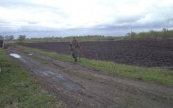 post-7121-0-95325900-1400983297_thumb.jp