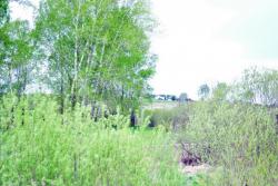 post-7597-0-50453500-1401073090_thumb.jp