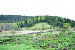 post-7597-0-65749700-1401072902_thumb.jp