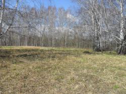 post-7929-0-43172100-1399174606_thumb.jp