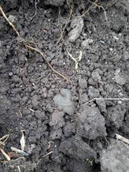 post-8327-0-12187000-1401250895_thumb.jp