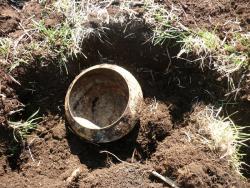 post-9454-0-51417900-1399536281_thumb.jp