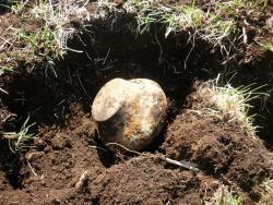 post-9454-0-61701600-1399536242_thumb.jp