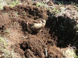 post-9454-0-92805200-1399536179_thumb.jp