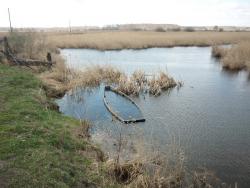 post-9454-0-96046700-1399535846_thumb.jp