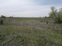 post-10214-0-05972100-1431539948_thumb.j