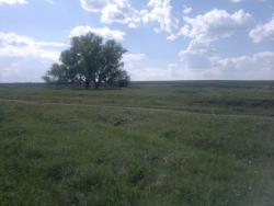 post-10214-0-54493600-1433004987_thumb.j