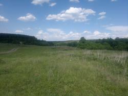 post-10214-0-85200100-1433005000_thumb.j