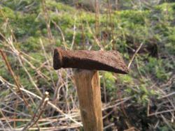 post-10214-0-99294800-1432008821_thumb.j