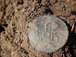 post-10462-0-05496000-1431625595_thumb.j