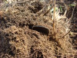 post-10462-0-42953600-1431879492_thumb.j