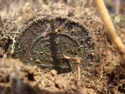 post-10462-0-48582000-1431879510_thumb.j