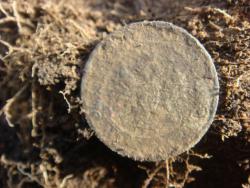 post-10462-0-97806800-1431879545_thumb.j