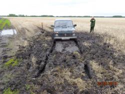 post-10547-0-26222100-1432396818_thumb.j