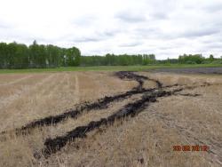 post-10547-0-31018200-1432396881_thumb.j