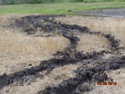 post-10547-0-38236200-1432396904_thumb.j